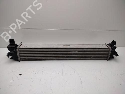 Intercooler CITROËN JUMPER II Van  | BP24922900M30 