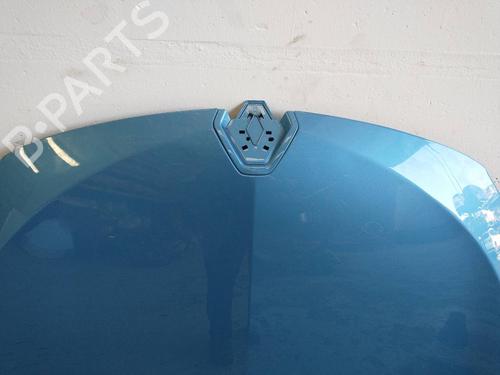 Hood RENAULT MEGANE II (BM0/1_, CM0/1_)  | BP8200796C1 