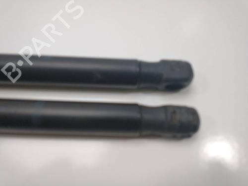 Tailgate lift support AUDI A6 C6 (4F2) 3.0 TDI quattro | BP14157255C138 