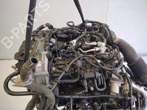 Motor FORD PUMA (J2K, CF7) [2019-2024]  16174052