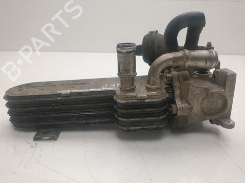 Egr VW GOLF V (1K1) | BP32266564M69