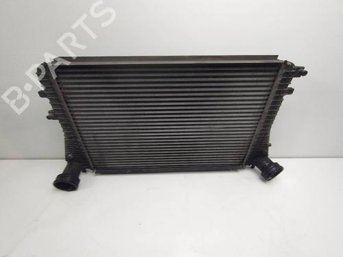 Intercooler SEAT ALTEA XL (5P5, 5P8)  | BP12339535M30 