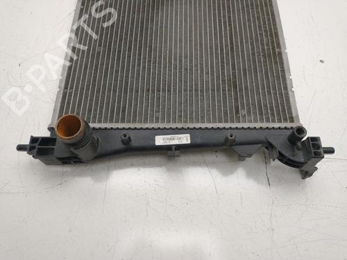 Water radiator FIAT DOBLO Cargo (263_) | BP33698363M31 - Image 2