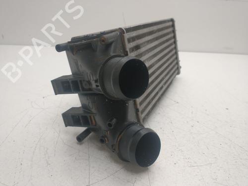 Intercooler CITROËN C4 II (NC_) 1.6 HDi 90 | BP39102498M30 - Image 3