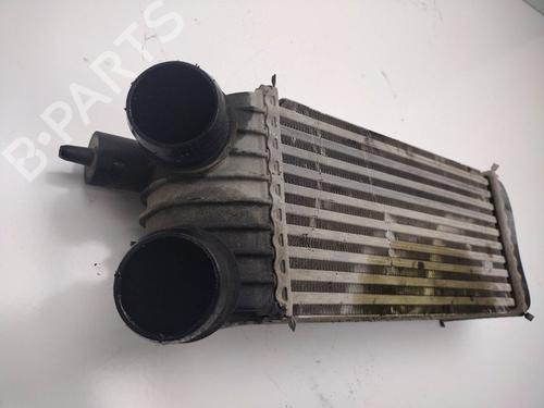 Intercooler FIAT SCUDO Bus (270_, 272_) 2.0 D Multijet | BP18121631M30 