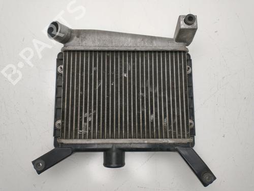 Intercooler TOYOTA RAV 4 II (_A2_) 2.0 D 4WD (CLA20_, CLA21_, CLA20R, CLA21R) | BP32439113M30