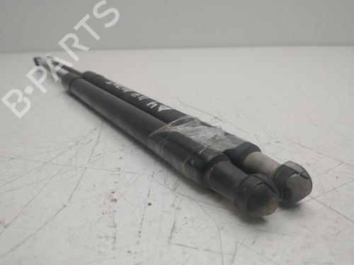 Tailgate lift support AUDI A4 B6 (8E2) 1.8 T quattro | BP37195509C138 - Image 6