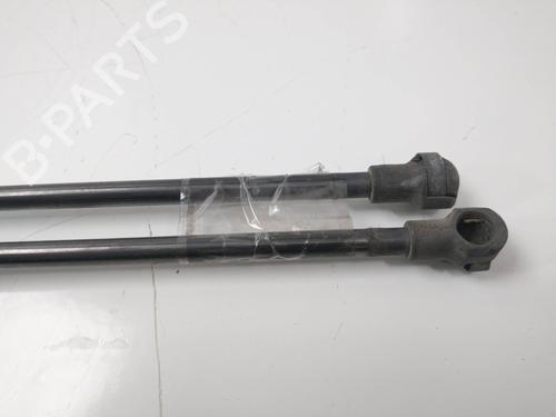 Tailgate lift support VW POLO (9N_, 9A_) 1.4 TDI | BP14157344C138 