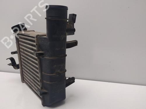 Intercooler SEAT EXEO (3R2) 2.0 TDI | BP32495365M30