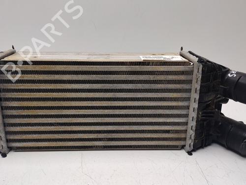Intercooler Intercooler OPEL CROSSLAND X / CROSSLAND (P17, P2QO) [2017-2026] 34703061 34703061
