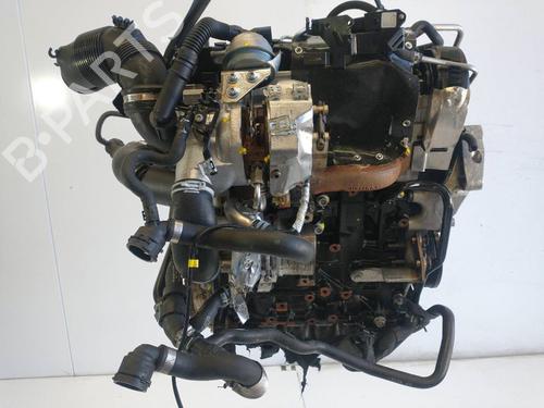 Engine VW GOLF VII (5G1, BQ1, BE1, BE2)  | BP13906800M1 