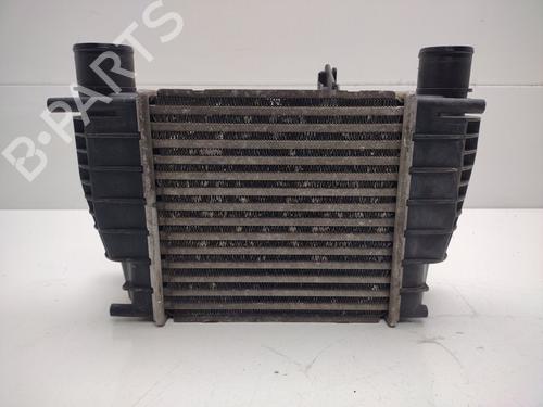 Intercooler RENAULT CLIO III (BR0/1, CR0/1) | BP30729939M30 - Image 2