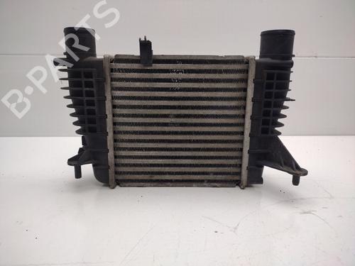 Intercooler RENAULT CLIO III (BR0/1, CR0/1) [2005-2014]  30729939