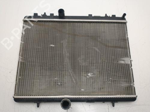 Used Water radiator Water radiator PEUGEOT PARTNER Box Body/MPV [2008-2026] 33698368 33698368