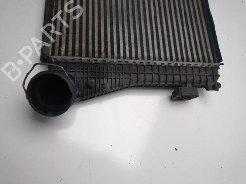 BP15597564M30 | Intercooler radiateur SEAT LEON (1P1) 1.9 TDI BP15597564M30