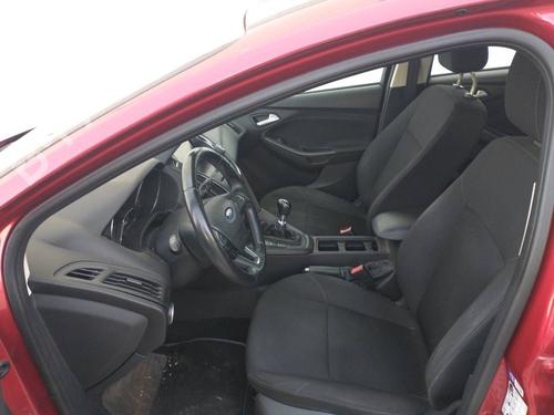 - Image 6