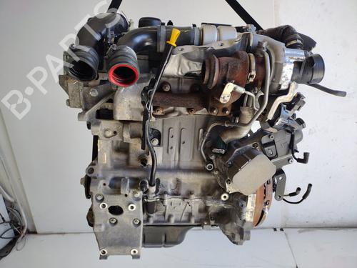 Motor für FORD FIESTA VI (CB1, CCN) [2008-2017]  24649922