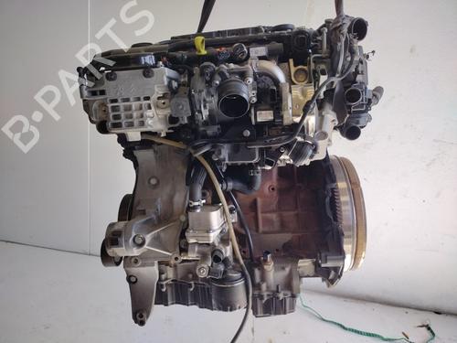 Engine FORD KUGA III (DFK)  | BP29724279M1 