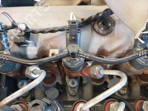 Engine RENAULT MEGANE II (BM0/1_, CM0/1_)  | BP23072676M1 
