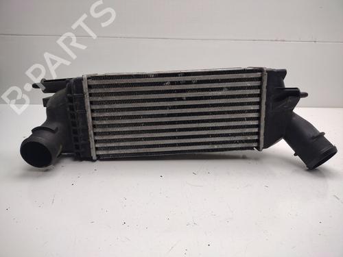 Used Intercooler PEUGEOT 407 (6D_) 2.0 (6DRFNB, 6DRFNE) (136 hp) 30754250