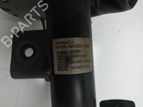Left front shock absorber FORD S-MAX (WA6)  | BP15386366M16 