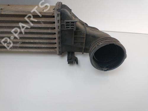 Intercooler MERCEDES-BENZ E-CLASS (W211) E 320 CDI (211.026) | BP8795596M30 