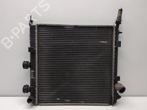Radiateur à eau Radiateur à eau PEUGEOT 1007 (KM_) [2005-2026] 34436413 34436413