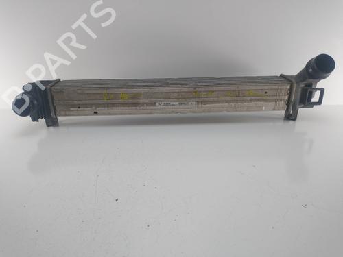 Used Intercooler RENAULT MEGANE III Hatchback (BZ0/1_, B3_) [2008-2025]  10189285