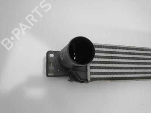 Intercooler CHEVROLET CAPTIVA (C100, C140) 2.0 D 4WD | BP17045908M30 