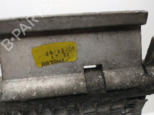AC radiator FIAT GRANDE PUNTO (199_) 1.9 D Multijet | BP23338172M32 