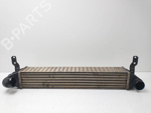 Used Intercooler VW SHARAN (7M8, 7M9, 7M6) 1.9 TDI (115 hp) 8644309