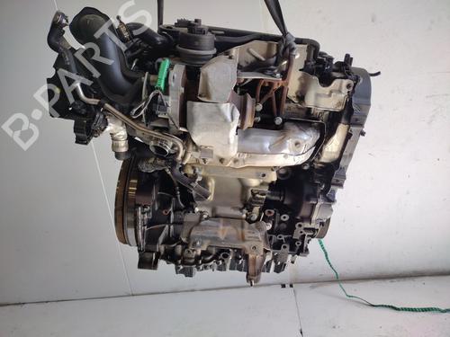 Engine FORD KUGA III (DFK)  | BP29724279M1 