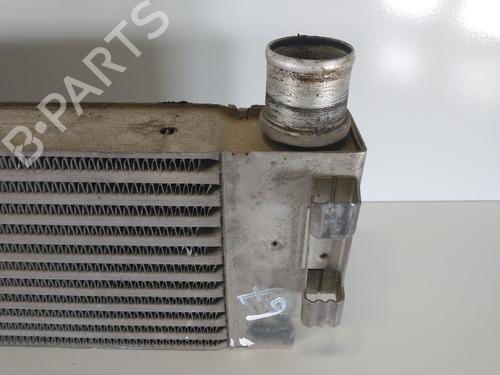Intercooler RENAULT MEGANE II (BM0/1_, CM0/1_) 2.0 dCi (BM1K, CM1K) | BP7505914M30 