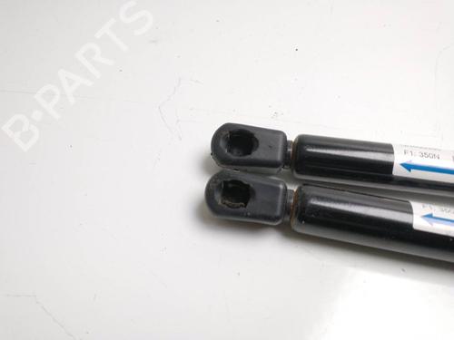 Tailgate lift support NISSAN QASHQAI I (J10, NJ10) 2.0 | BP14157652C138 