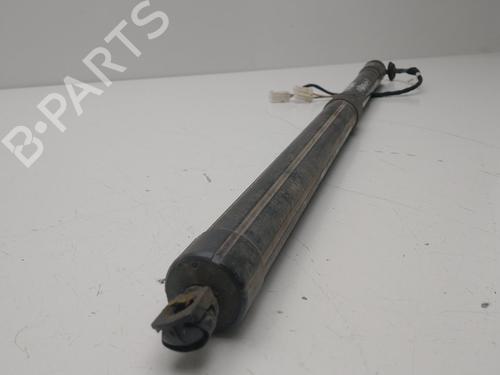 Tailgate lift support CITROËN C4 Picasso II | BP30442319C138