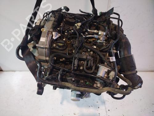 Used Engine FORD PUMA (J2K, CF7) [2019-2025]  31161930