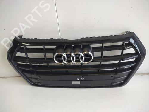 Grille AUDI Q5 (8RB)  | BP28503414C40 