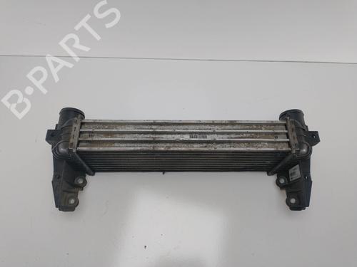 Intercooler FORD TOURNEO CONNECT  | BP8802517M30 