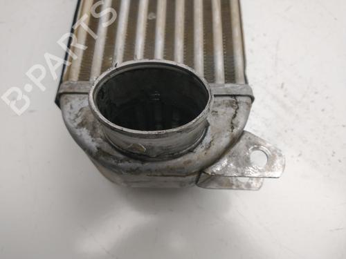 Intercooler LAND ROVER DISCOVERY III (L319) 2.7 TD 4x4 | BP32439111M30  - Image 6