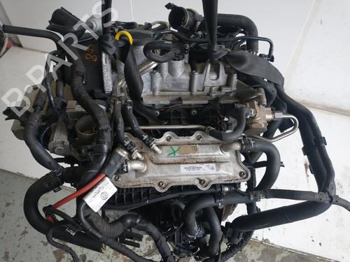Engine VW GOLF VII (5G1, BQ1, BE1, BE2)  | BP36294755M1  - Image 5