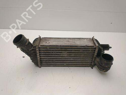 Intercooler PEUGEOT 5008 (0U_, 0E_) 2.0 HDi | BP25440690M30 