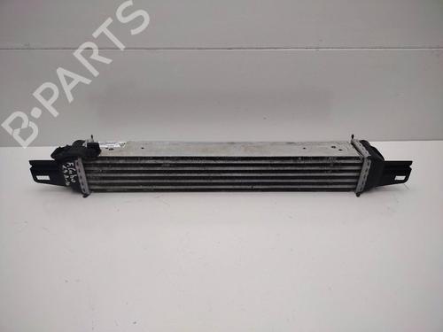 Intercooler FIAT FIORINO Box Body/MPV (225_) 1.3 D Multijet (225BXD1A, 225BXB1A, 225BXB11) | BP18120659M30 