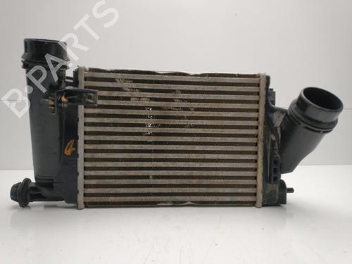 Intercooler NISSAN QASHQAI II (J11, J11_) | BP32470430M30