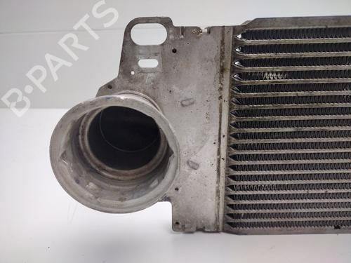 Intercooler VW TRANSPORTER T5 Van (7HA, 7HH, 7EA, 7EH) 2.5 TDI | BP30754247M30 