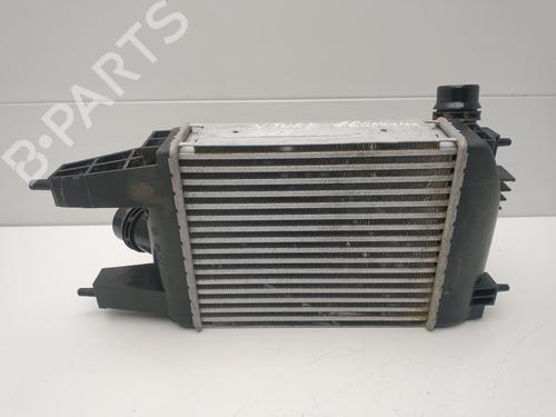 Intercooler NISSAN JUKE (F15) 1.6 | BP23108930M30