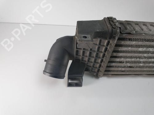 Intercooler FORD FOCUS C-MAX (DM2)  | BP8802514M30 