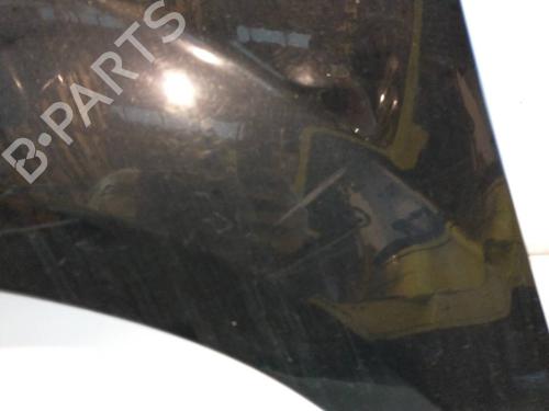 Left front fenders FORD FOCUS II (DA_, HCP, DP)  | BP16519571C41 