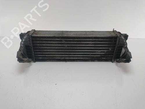 Intercooler FORD TOURNEO CONNECT  | BP8802517M30 