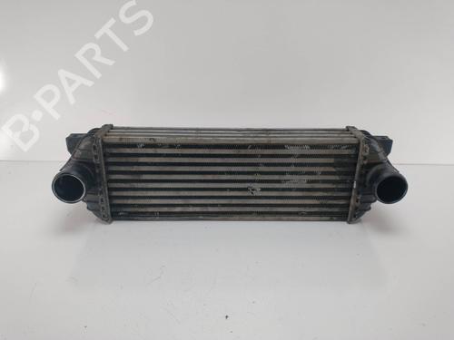 Used Intercooler FORD TOURNEO CONNECT [2002-2013]  8802517