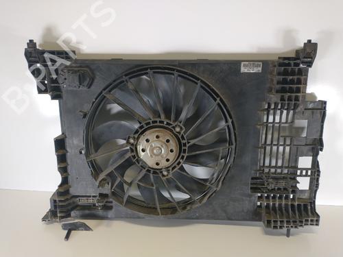 Radiator fan RENAULT MEGANE II (BM0/1_, CM0/1_) 2.0 dCi (BM1K, CM1K) (150 hp) 7505924